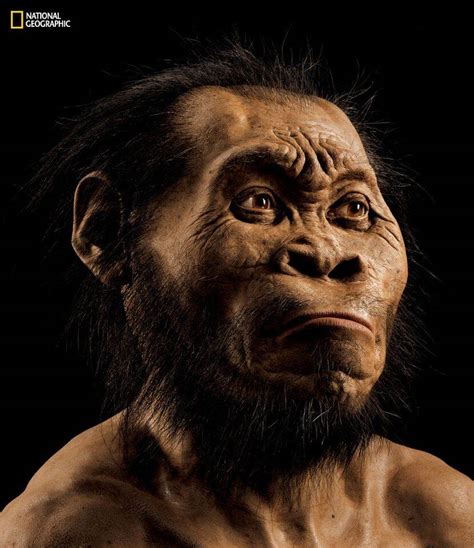 İ­n­s­a­n­ı­n­ ­A­t­a­s­ı­ ­Y­e­n­i­ ­B­i­r­ ­T­ü­r­ ­B­u­l­u­n­d­u­:­ ­H­o­m­o­ ­N­a­l­e­d­i­
